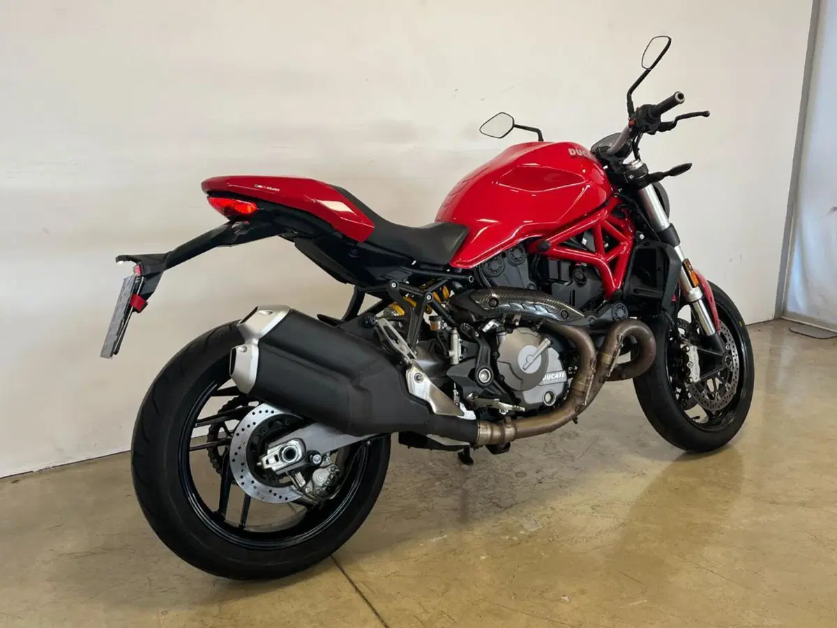 Ducati Monster 821 (2018 - 20) (7)