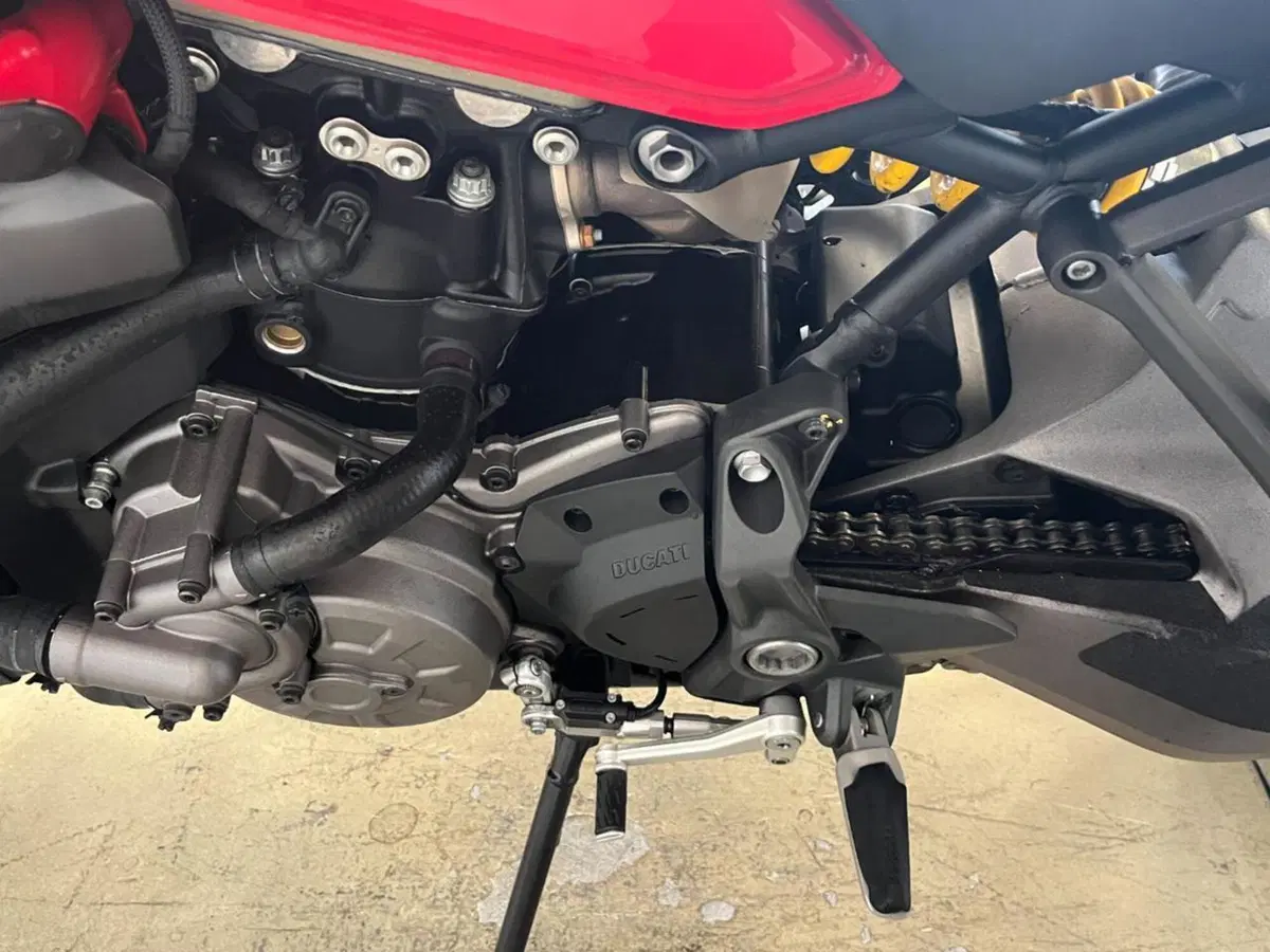 Ducati Monster 821 (2018 - 20) (9)