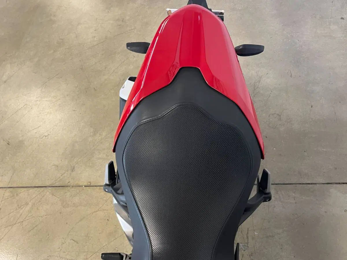 Ducati Monster 821 (2018 - 20) (8)
