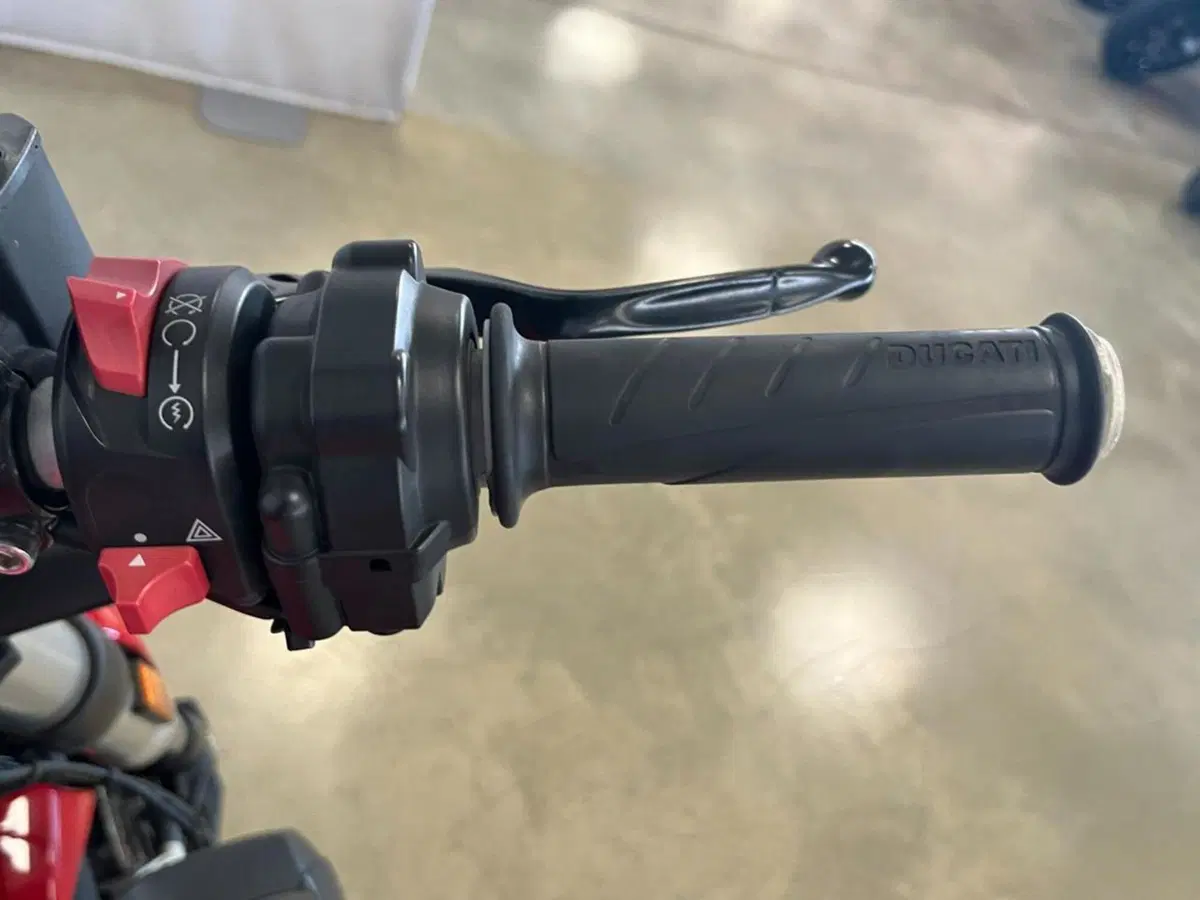 Ducati Monster 821 (2018 - 20) (11)