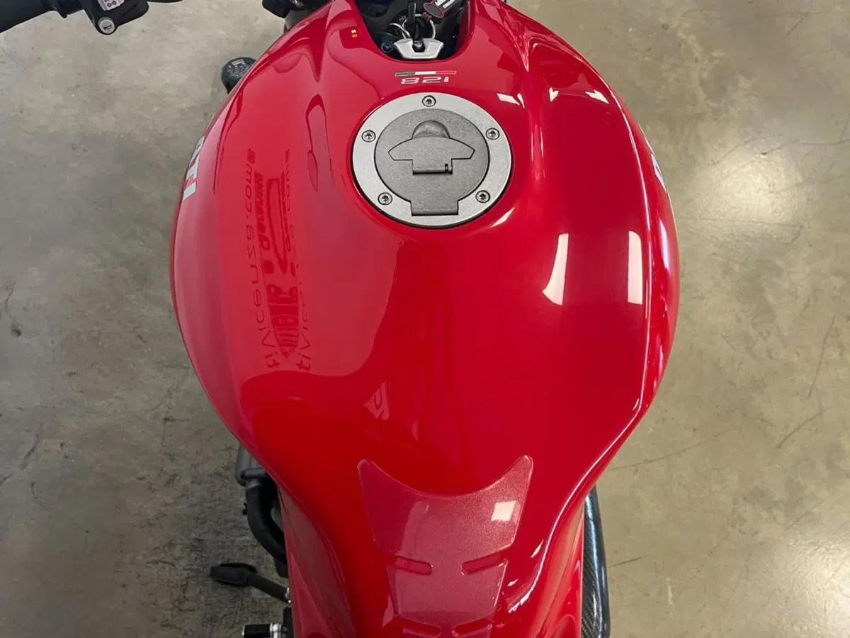 Ducati Monster 821 (2018 - 20) (10)