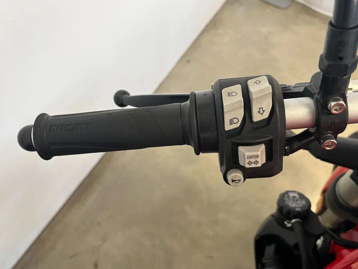 Ducati Monster 821 (2018 - 20) (12)