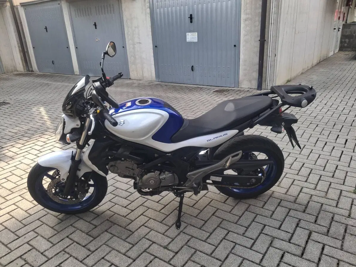 Suzuki Gladius 650 SFV (2009 - 15) (14)