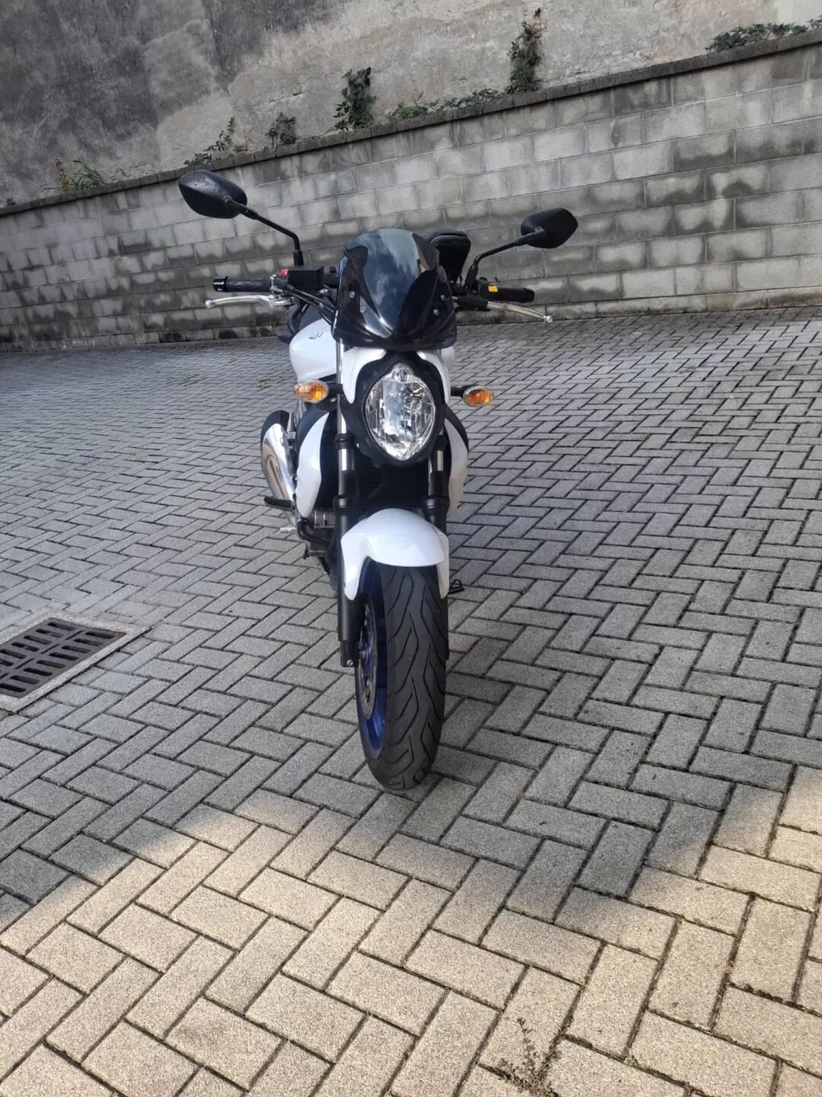 Suzuki Gladius 650 SFV (2009 - 15) (16)