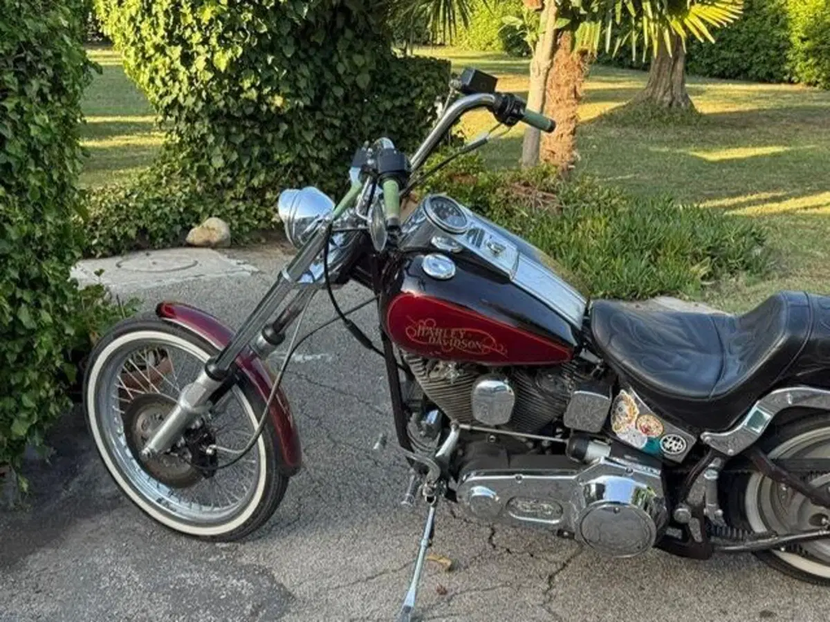 Harley-Davidson 1340 Custom (1989 - 98) (3)