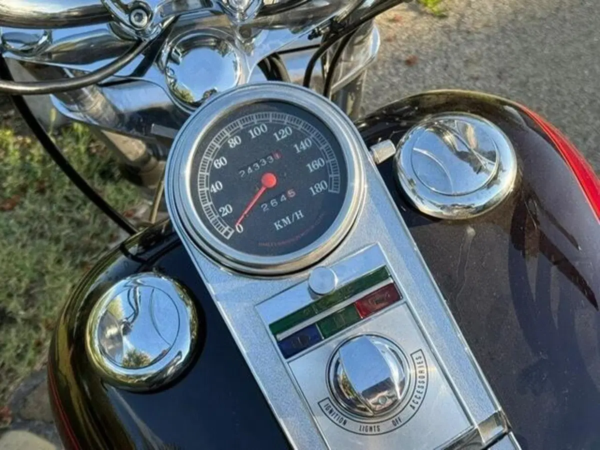 Harley-Davidson 1340 Custom (1989 - 98) (7)