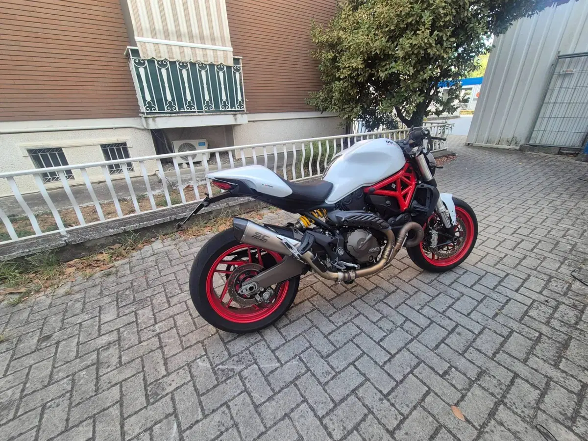 Ducati Monster 821 ABS (2014 - 17) (3)