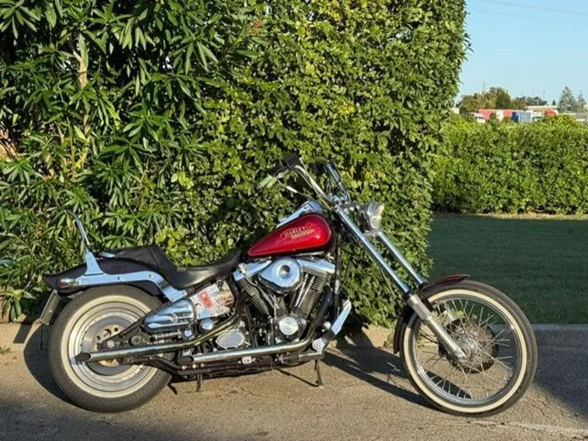Harley-Davidson softail Custom 1340 (3)