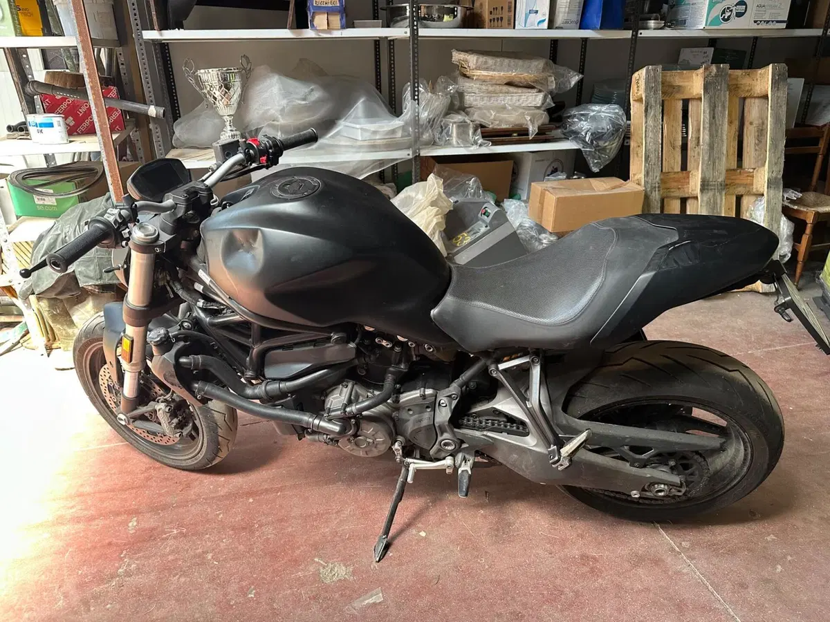 Ducati Monster 821 (2018 - 20) (3)