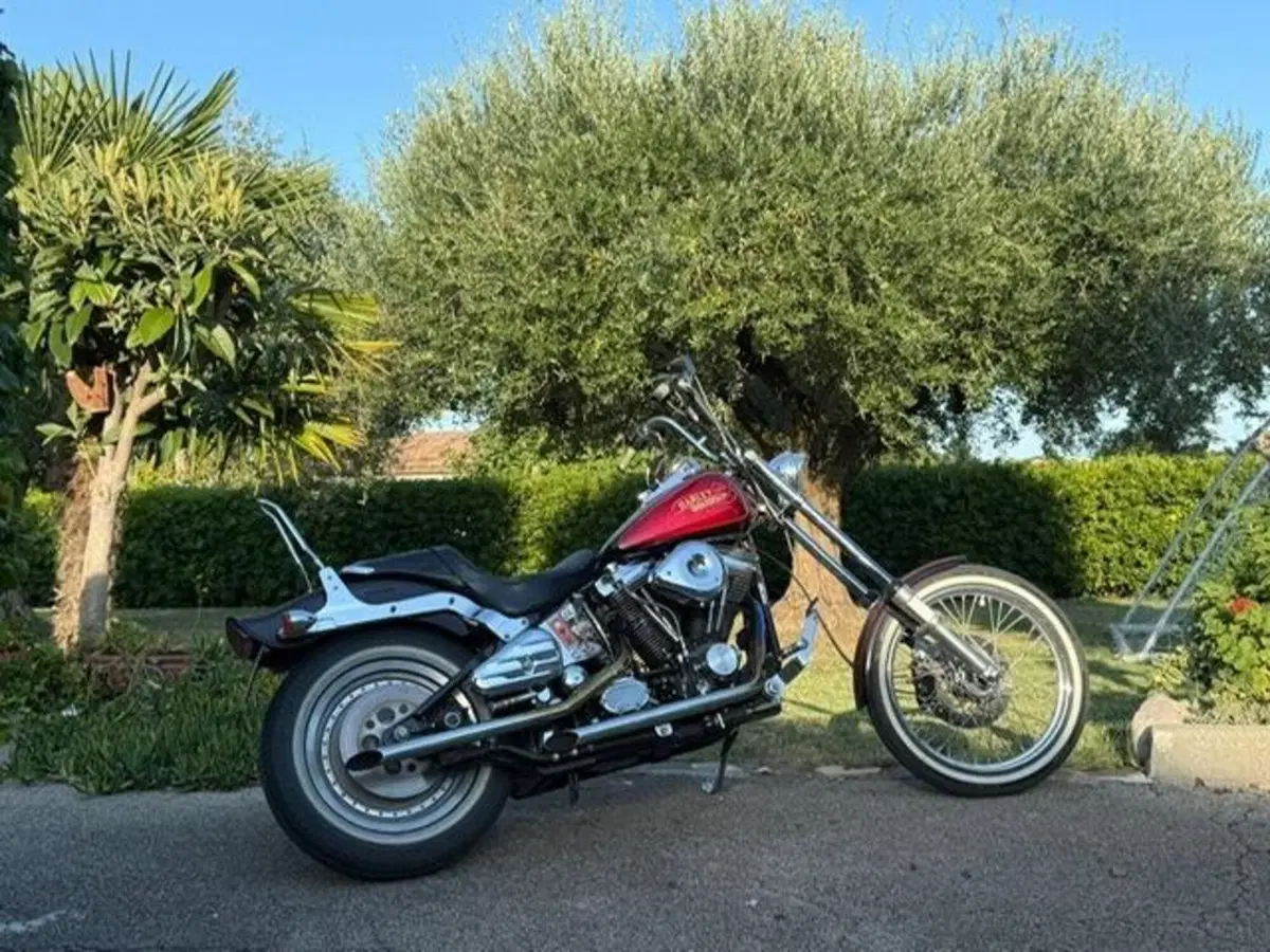 Harley-Davidson softail Custom 1340 (9)