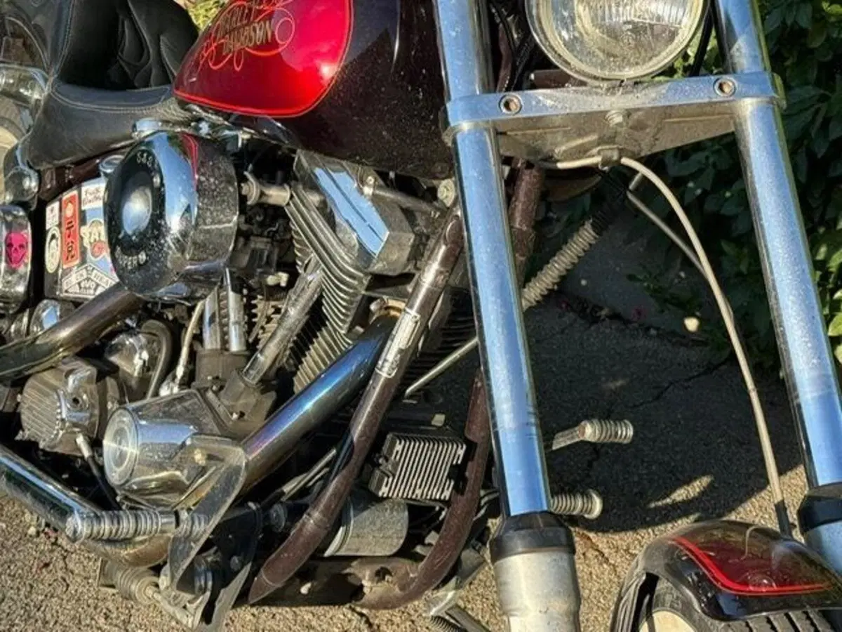 Harley-Davidson softail Custom 1340 (10)