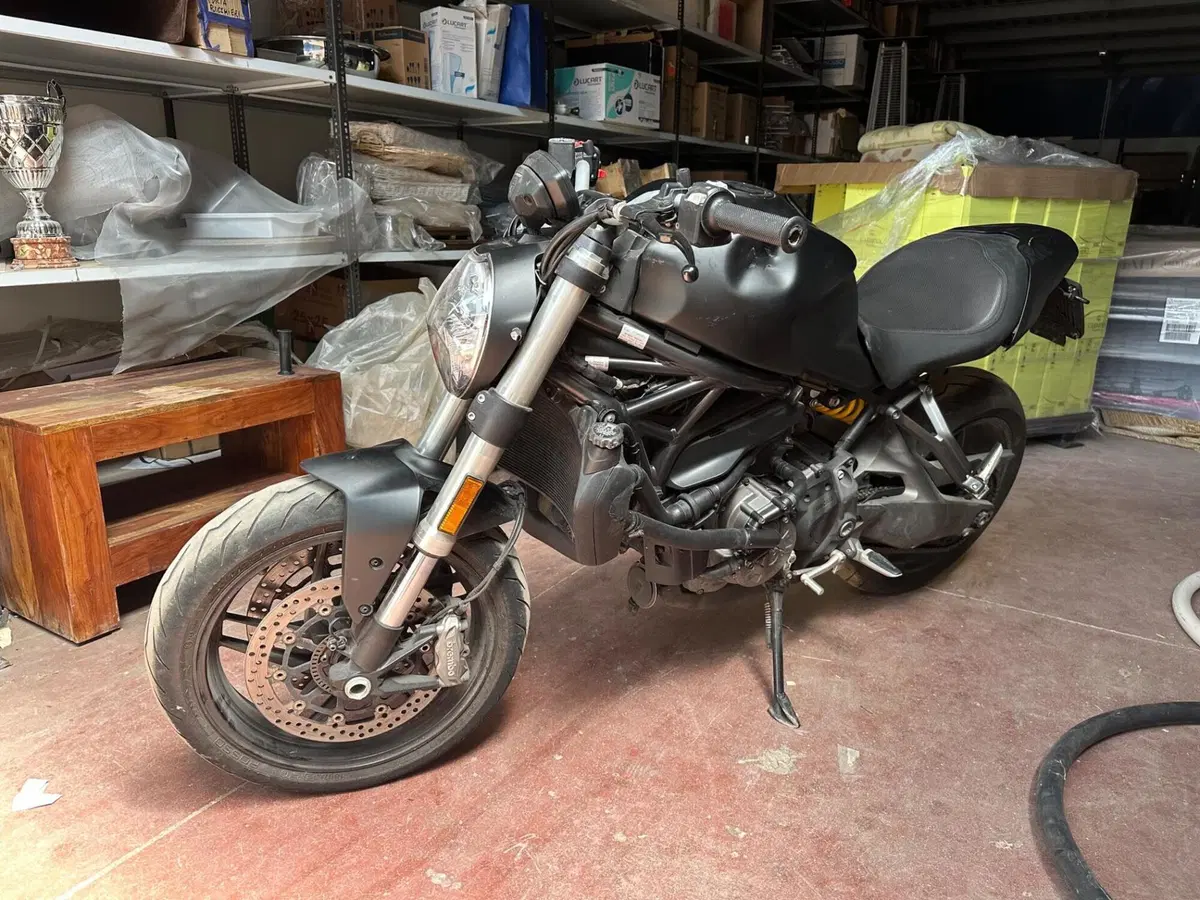 Ducati Monster 821 (2018 - 20) (4)