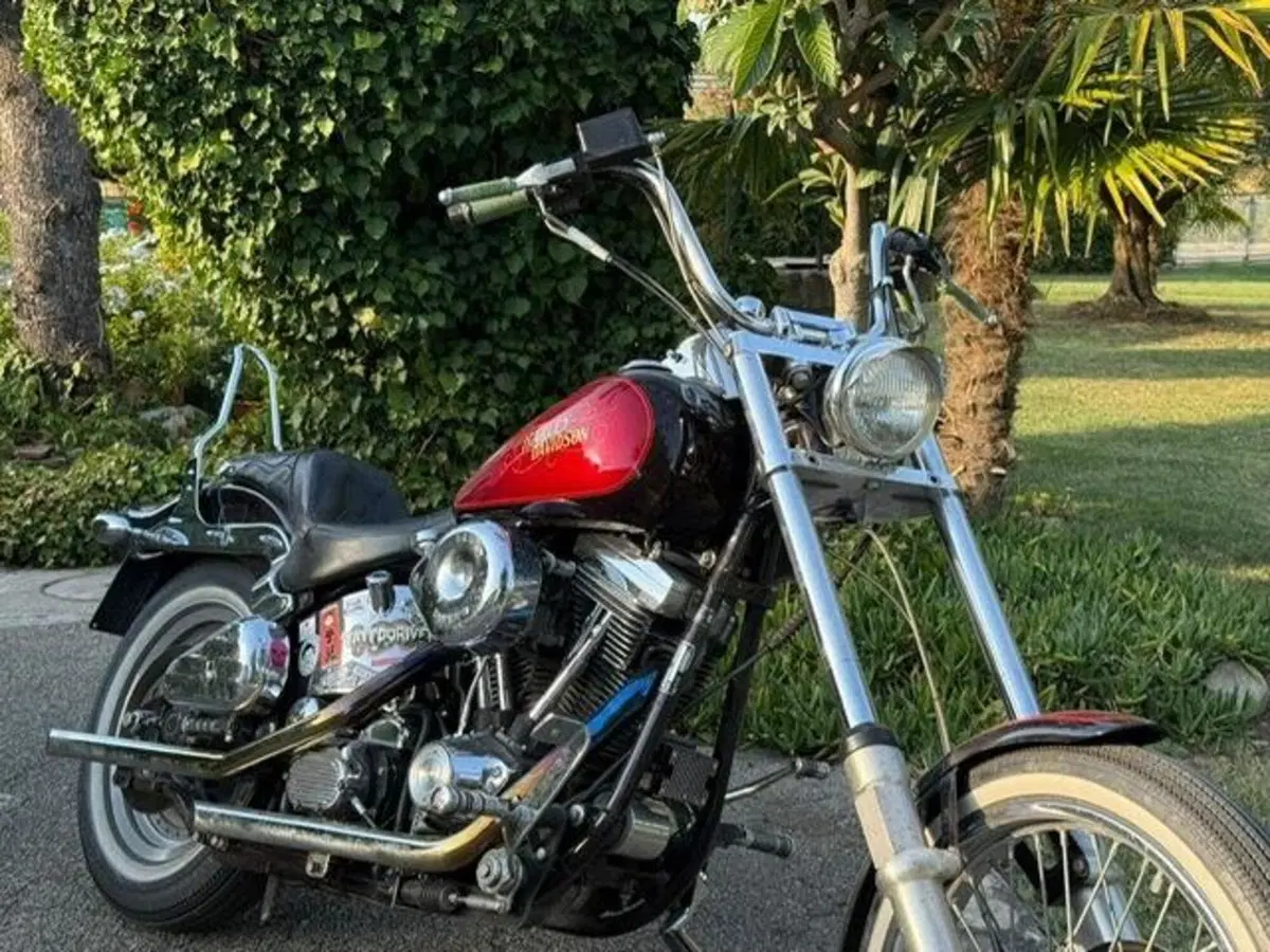 Harley-Davidson softail Custom 1340 (13)