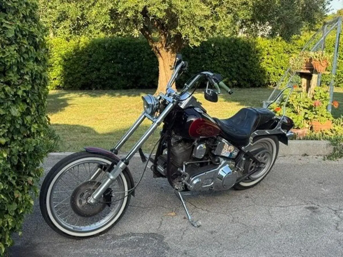 Harley-Davidson softail Custom 1340 (14)