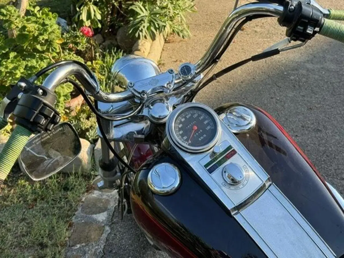 Harley-Davidson softail Custom 1340 (15)