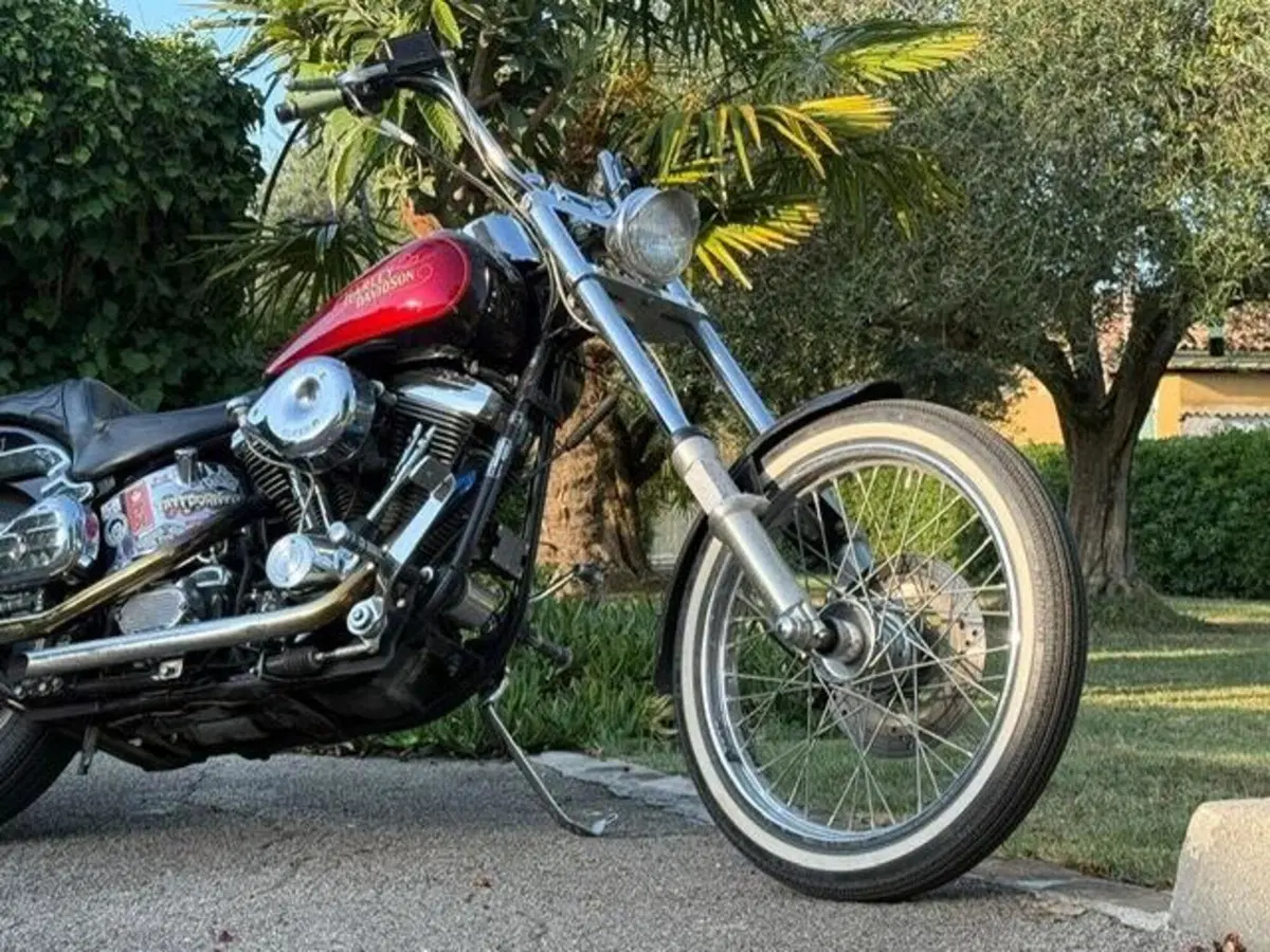 Harley-Davidson softail Custom 1340 (16)