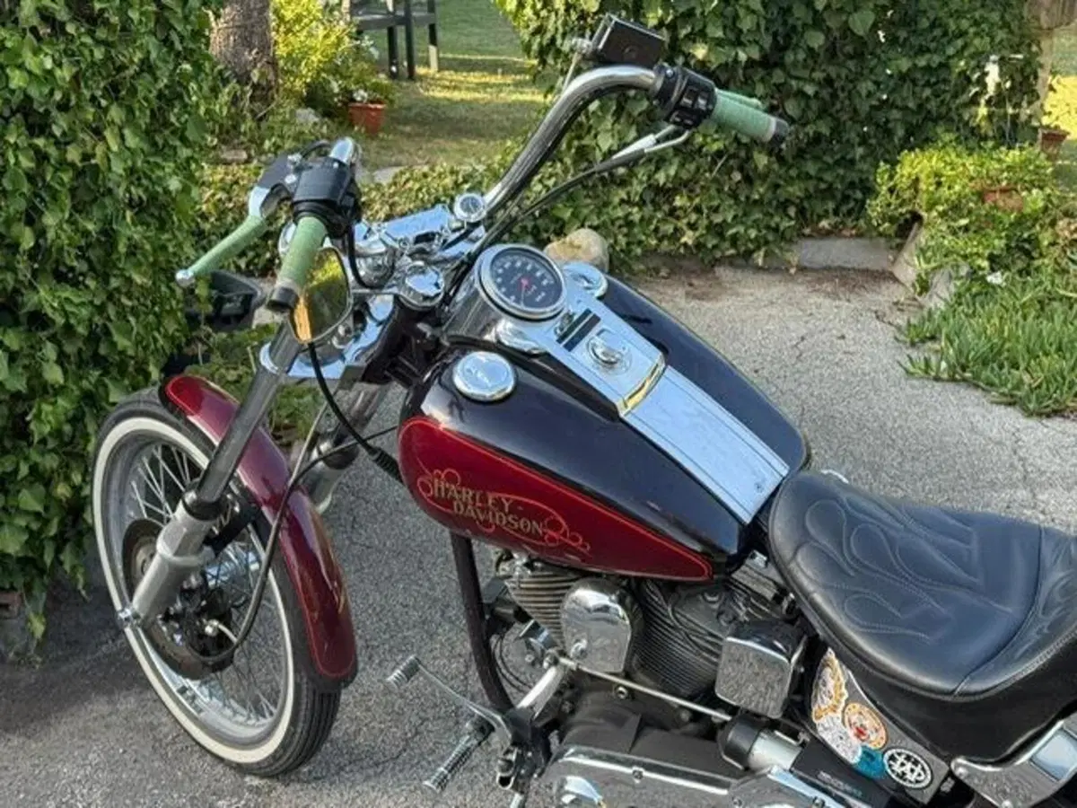 Harley-Davidson softail Custom 1340 (17)
