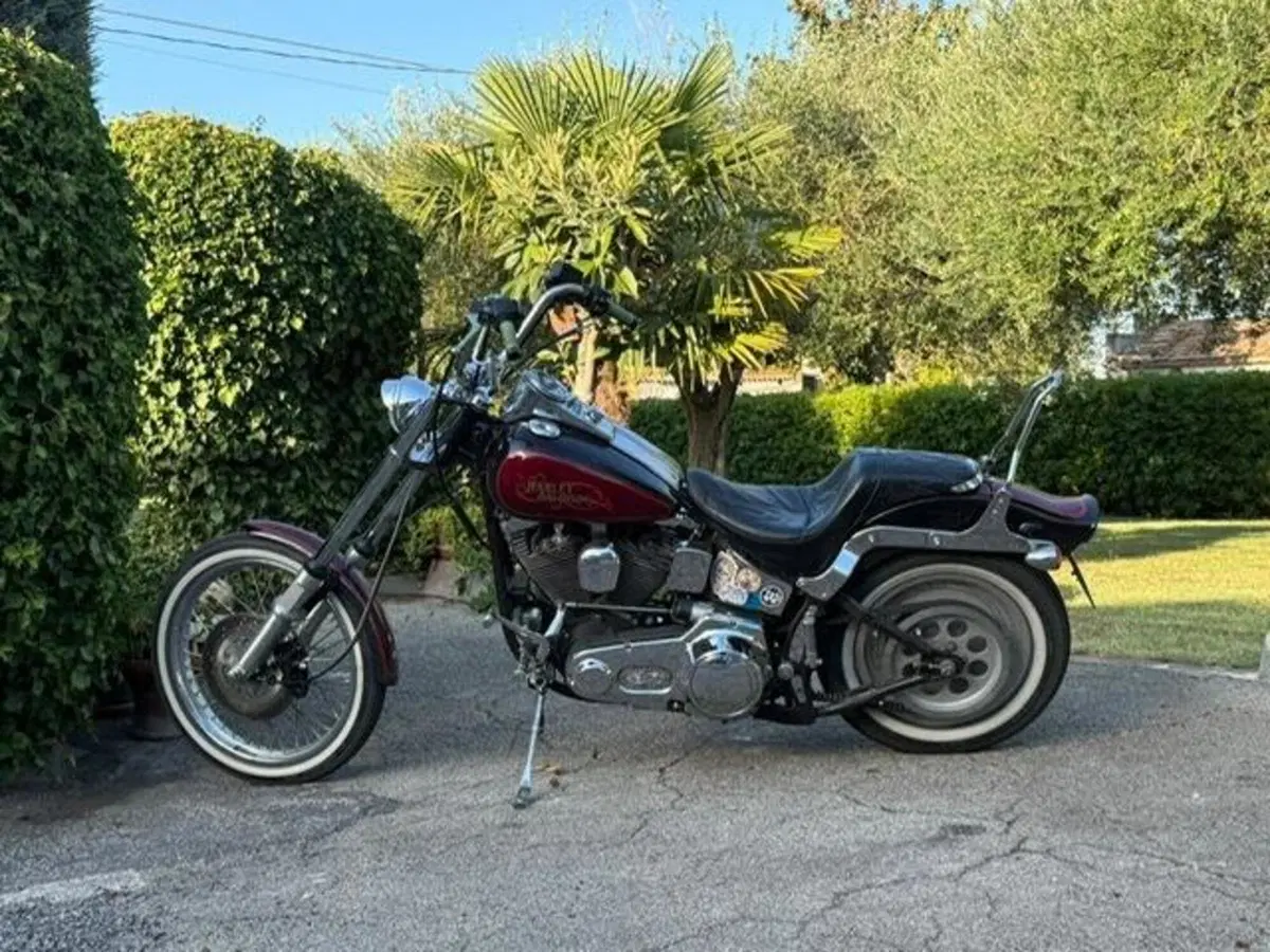 Harley-Davidson softail Custom 1340 (19)