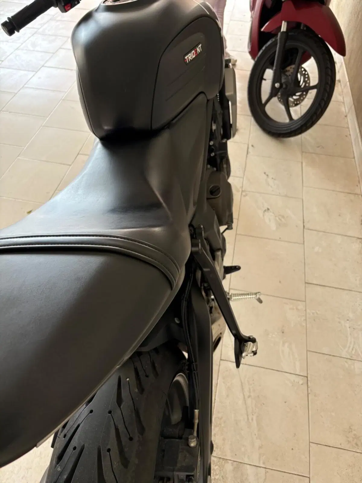 Triumph Trident 660 (2021 - 24) (3)