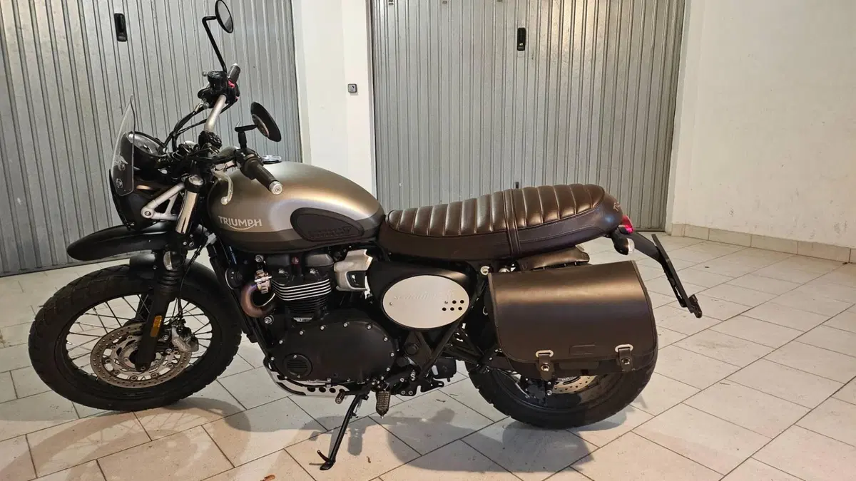 Triumph Street Scrambler 900 Sandstorm (2021 - 22) (2)