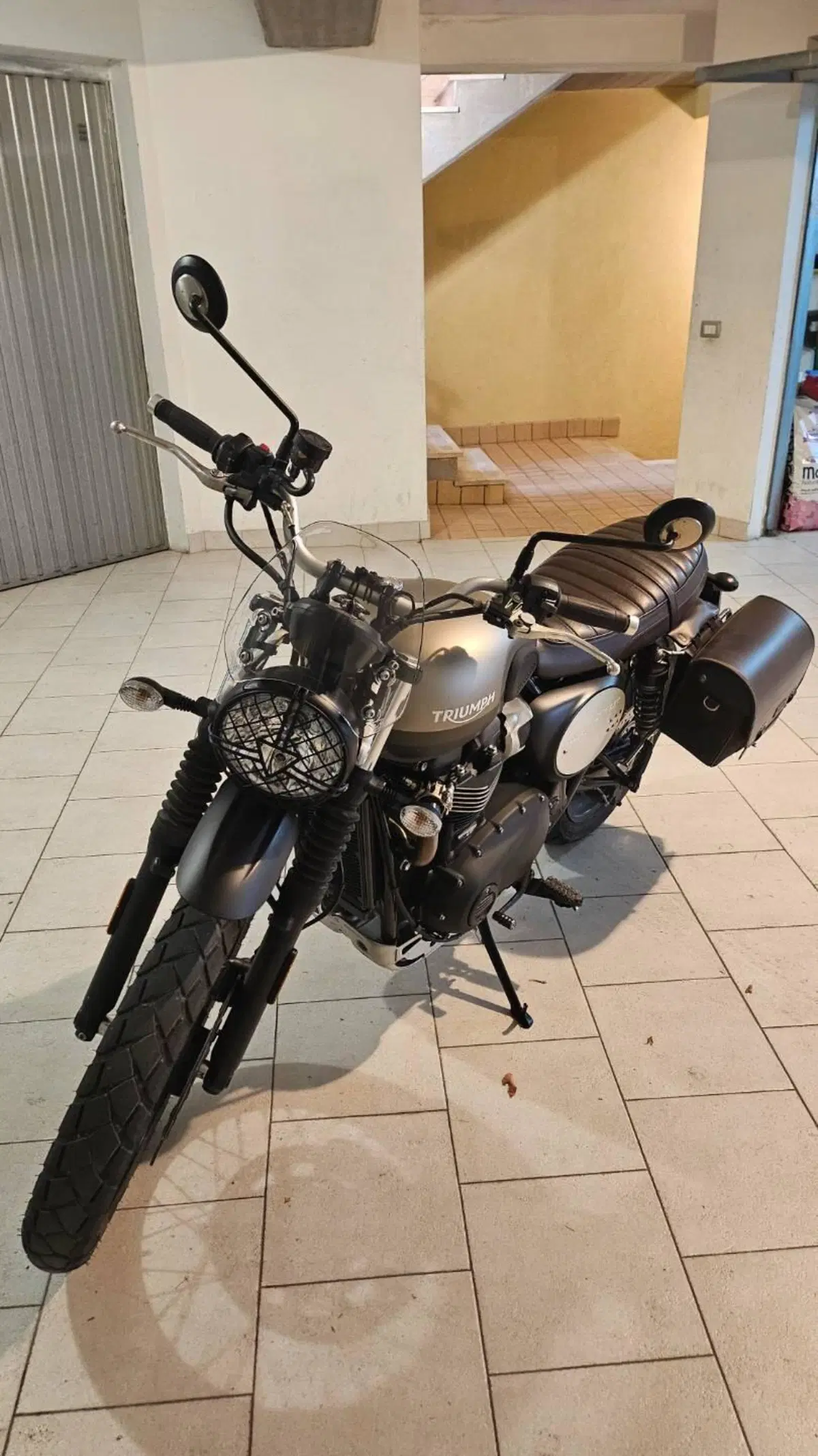 Triumph Street Scrambler 900 Sandstorm (2021 - 22) (3)