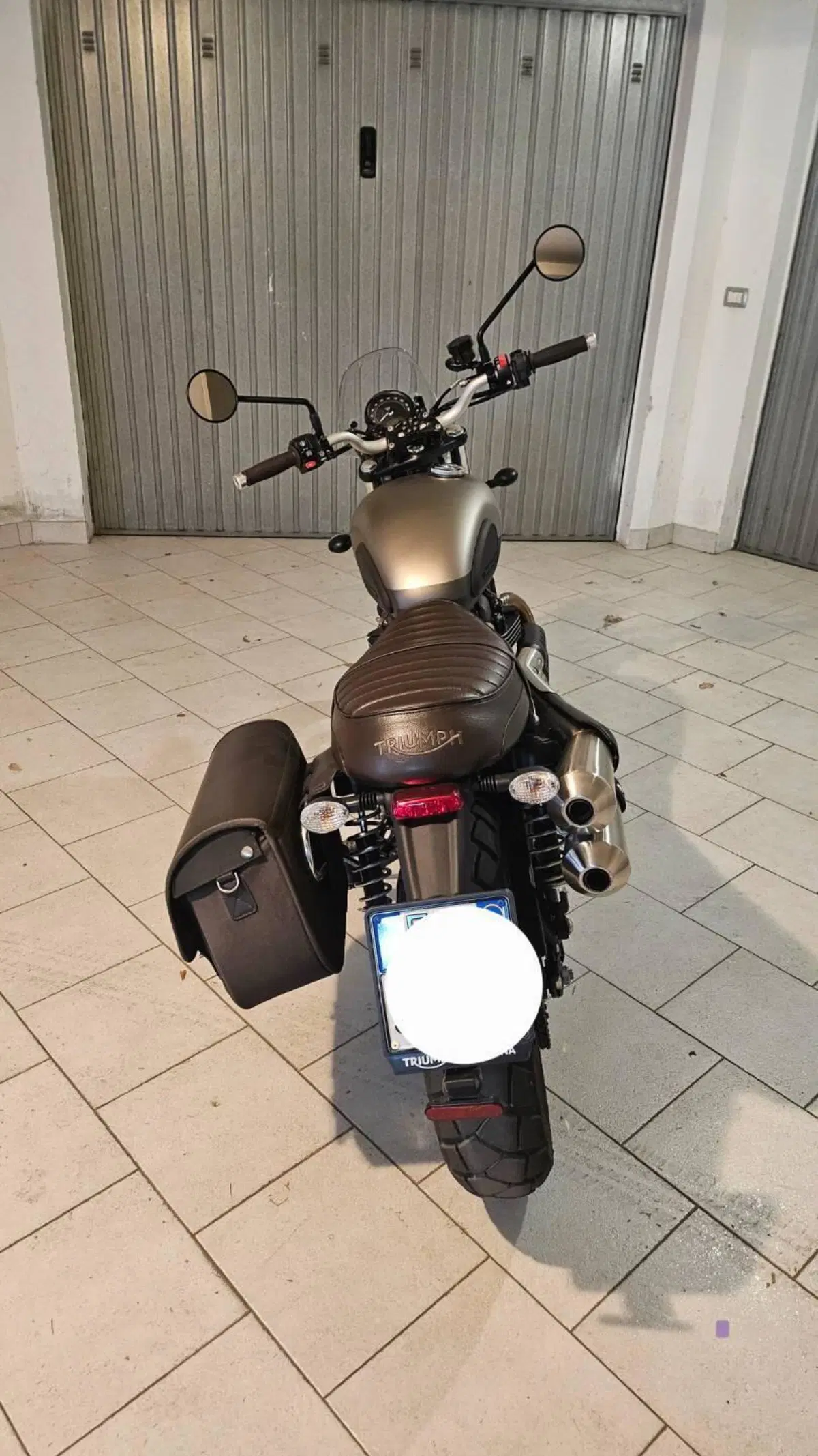Triumph Street Scrambler 900 Sandstorm (2021 - 22) (4)