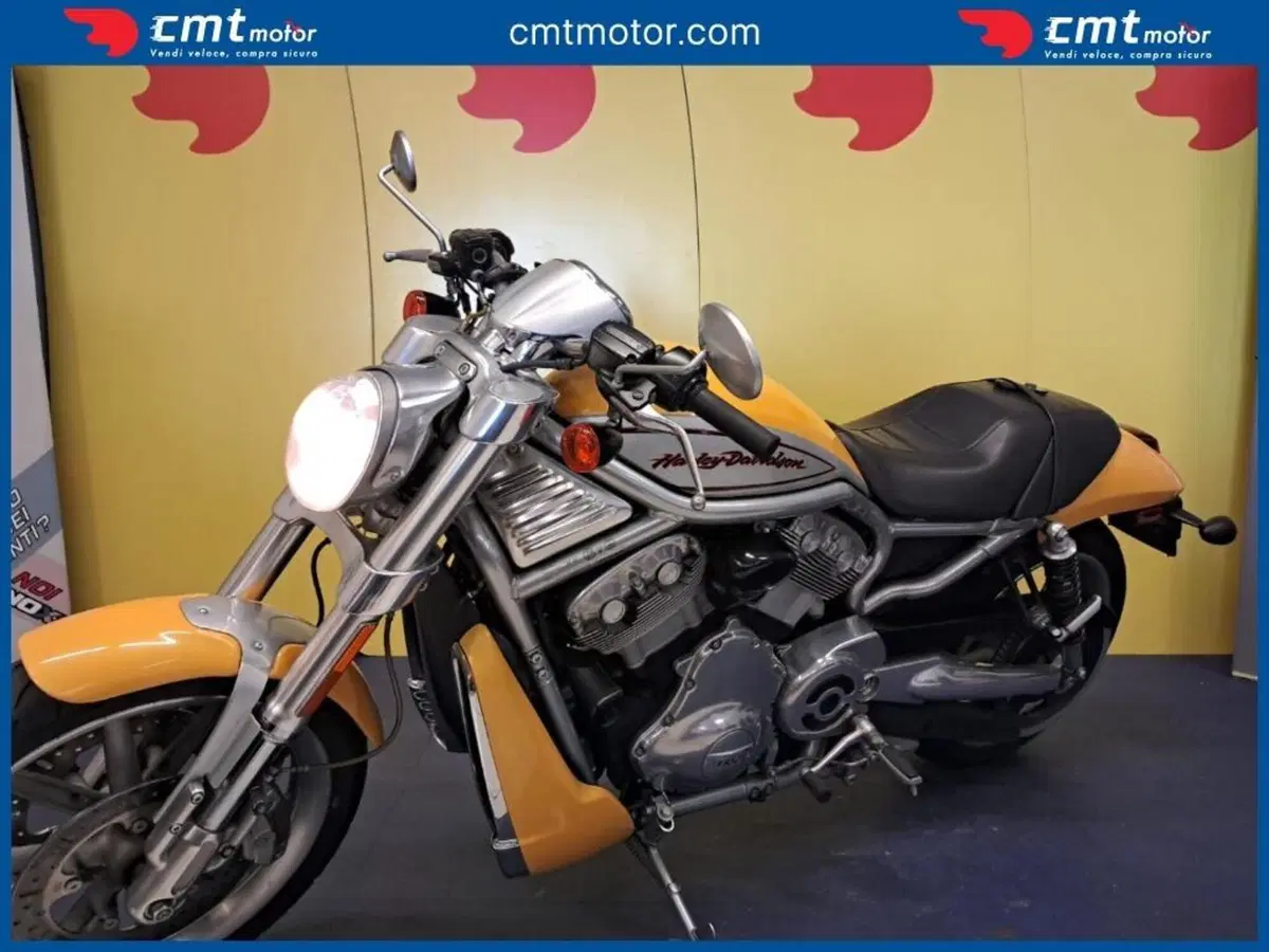 Harley-Davidson 1130 V-ROD (2002 - 05) - VRSCB (4)