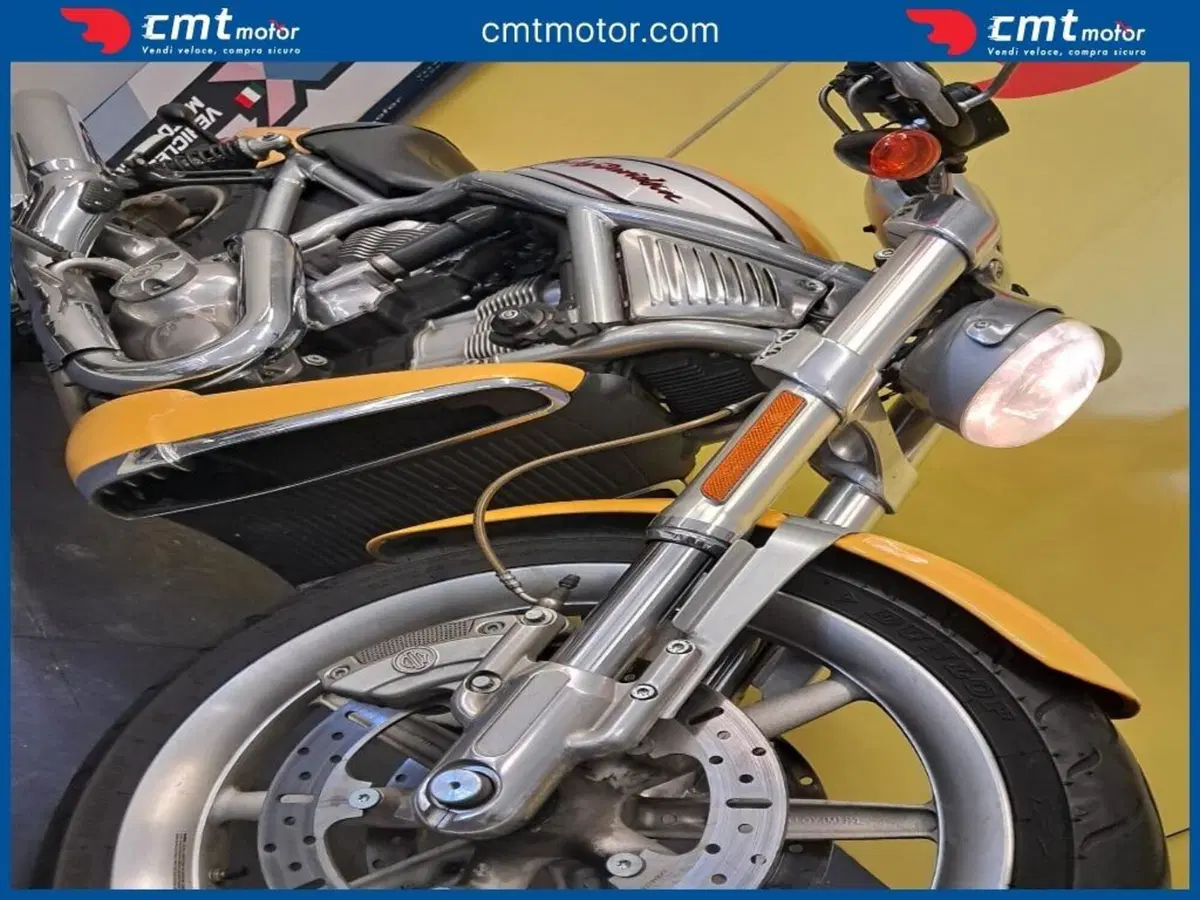 Harley-Davidson 1130 V-ROD (2002 - 05) - VRSCB (6)