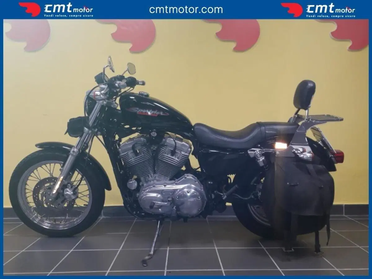 Harley-Davidson 883 Standard (2001 - 05) - XL 883 (3)