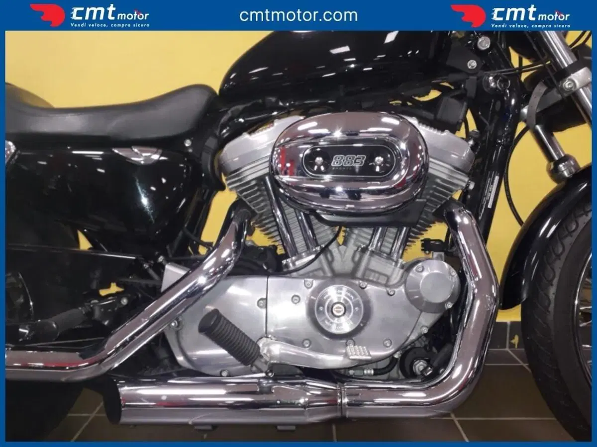 Harley-Davidson 883 Standard (2001 - 05) - XL 883 (6)