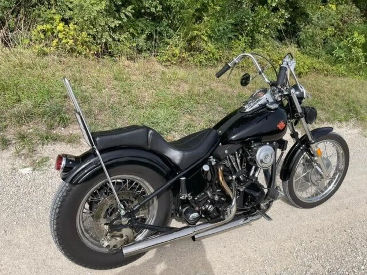 Harley-Davidson Chopper shovelled 1340 (3)