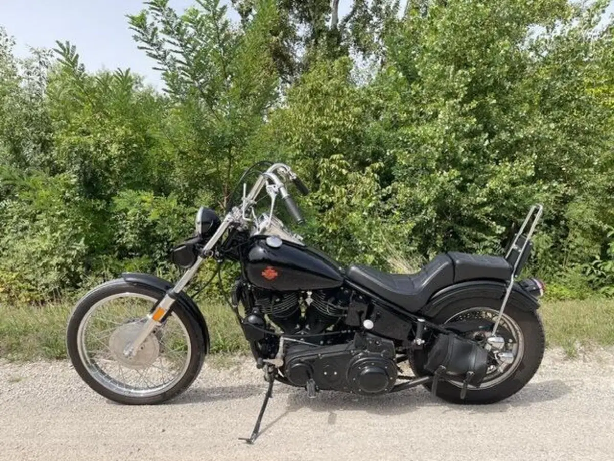 Harley-Davidson Chopper shovelled 1340 (4)