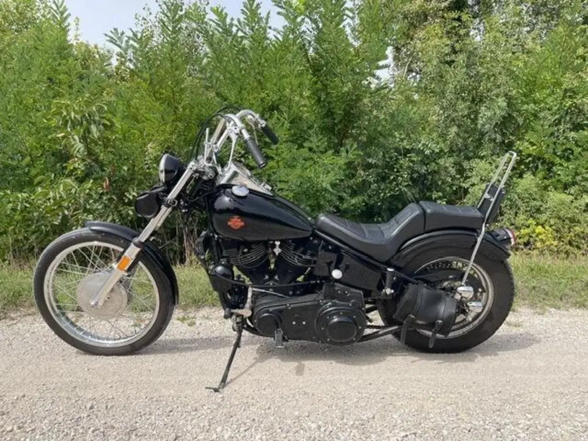 Harley-Davidson Chopper shovelled 1340 (5)