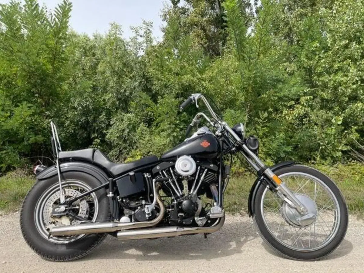 Harley-Davidson Chopper shovelled 1340 (6)