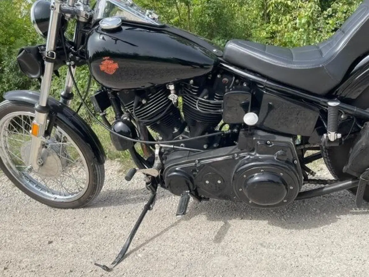 Harley-Davidson Chopper shovelled 1340 (8)