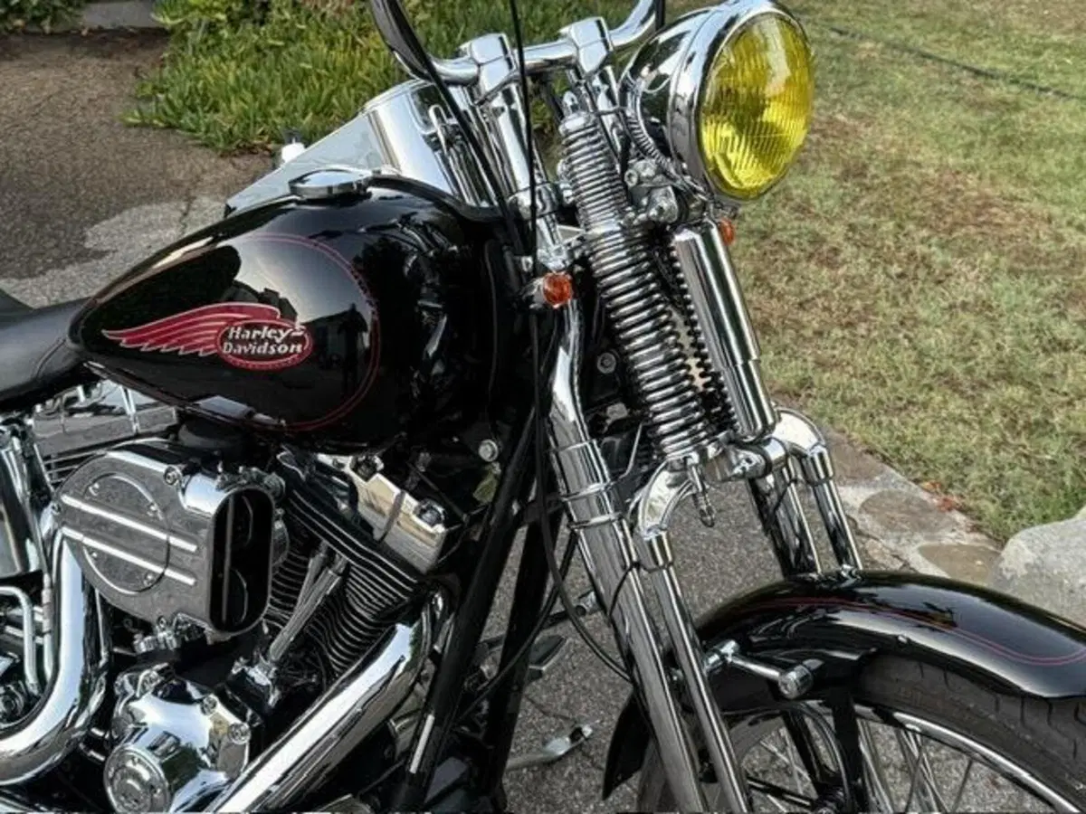 Harley-Davidson 1450 Springer (2002 - 04) - FXSTSI (2)