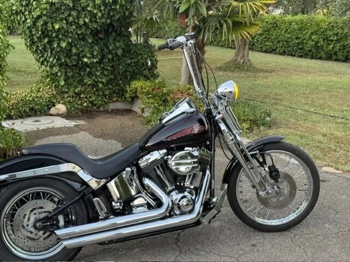 Harley-Davidson 1450 Springer (2002 - 04) - FXSTSI (3)