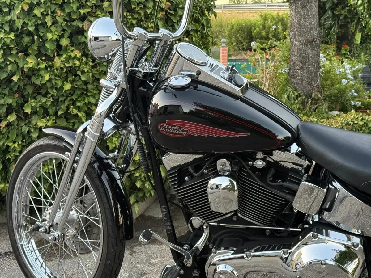 Harley-Davidson 1450 Springer (2002 - 04) - FXSTSI (5)