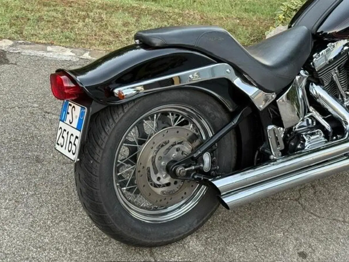 Harley-Davidson 1450 Springer (2002 - 04) - FXSTSI (6)