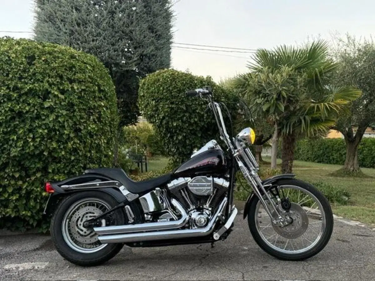Harley-Davidson 1450 Springer (2002 - 04) - FXSTSI