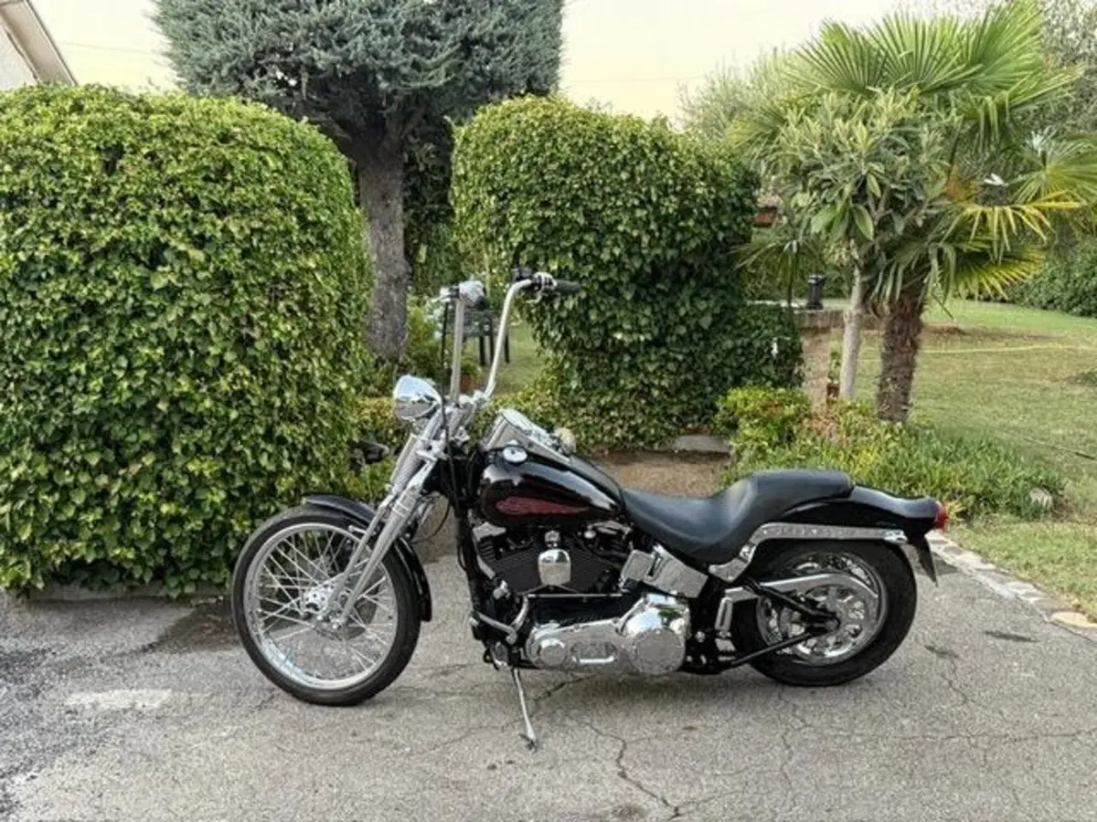 Harley-Davidson 1450 Springer (2002 - 04) - FXSTSI (7)