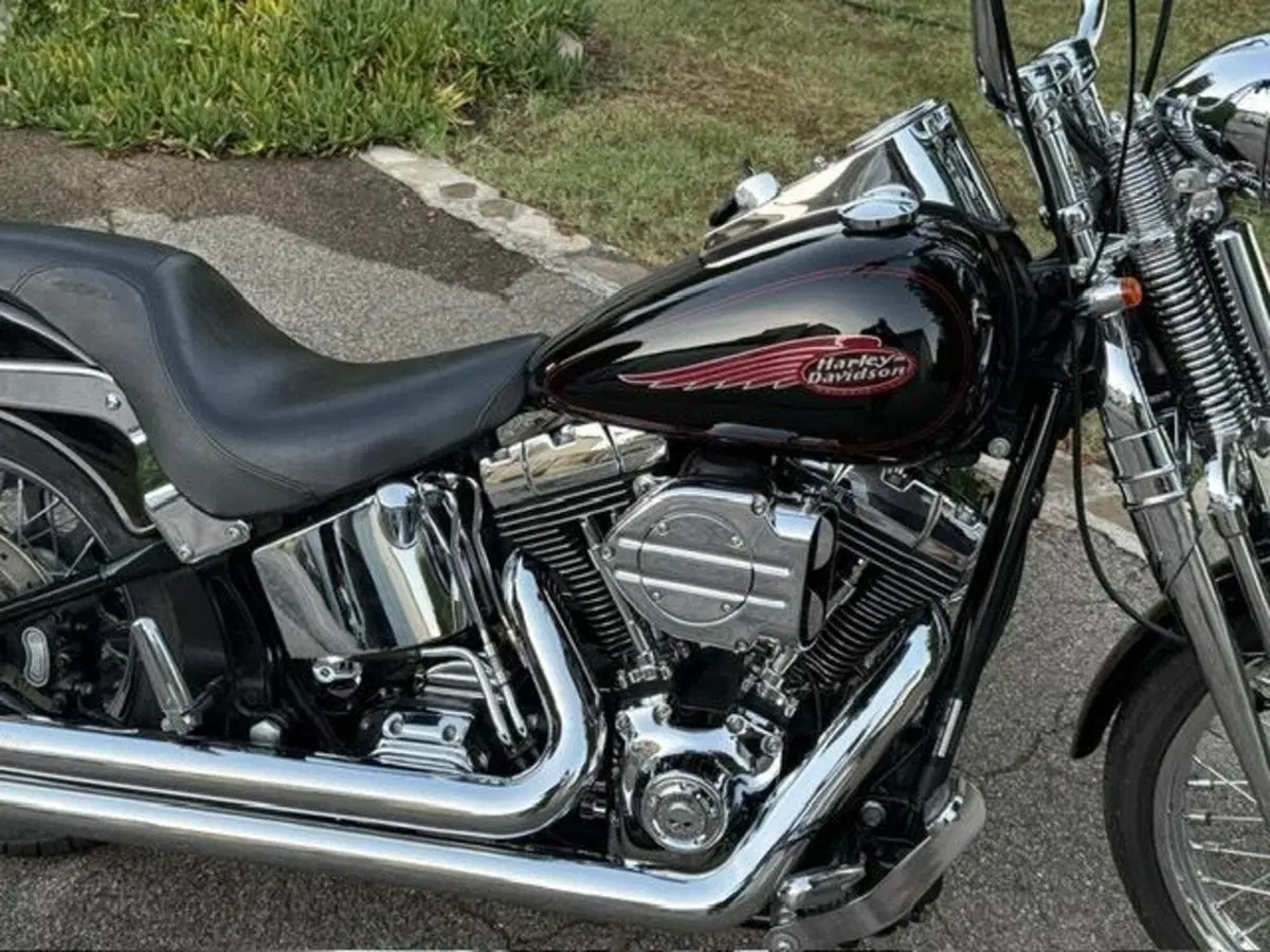 Harley-Davidson 1450 Springer (2002 - 04) - FXSTSI (8)