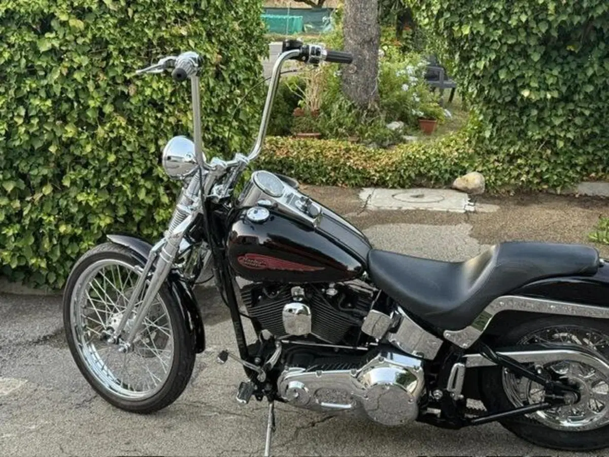 Harley-Davidson 1450 Springer (2002 - 04) - FXSTSI (9)