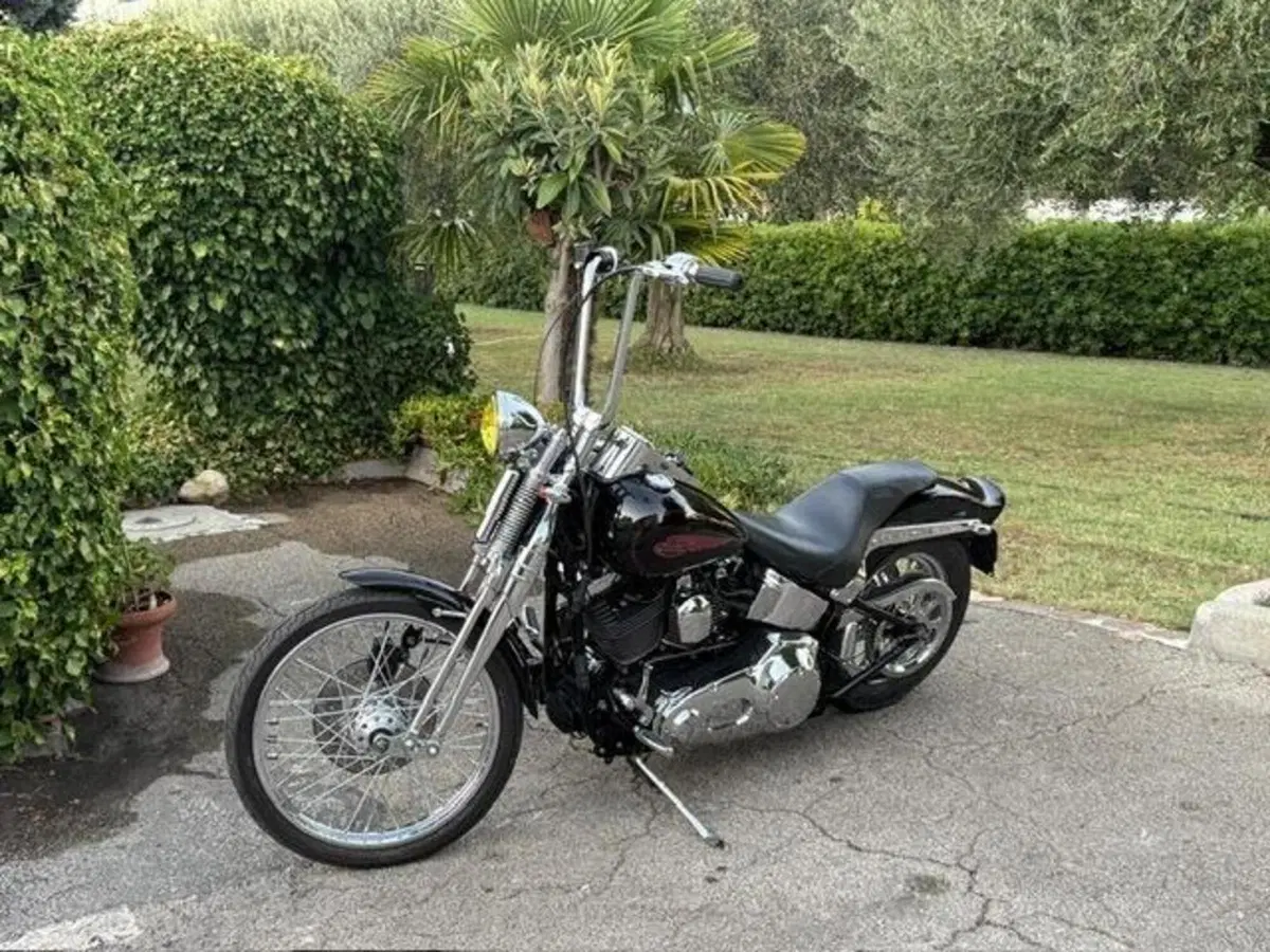 Harley-Davidson 1450 Springer (2002 - 04) - FXSTSI (10)
