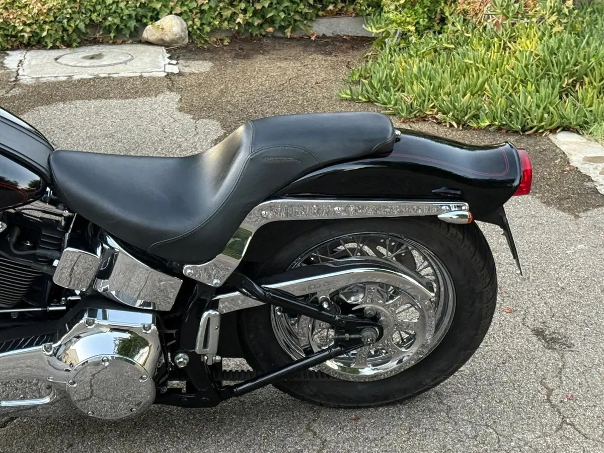 Harley-Davidson 1450 Springer (2002 - 04) - FXSTSI (11)