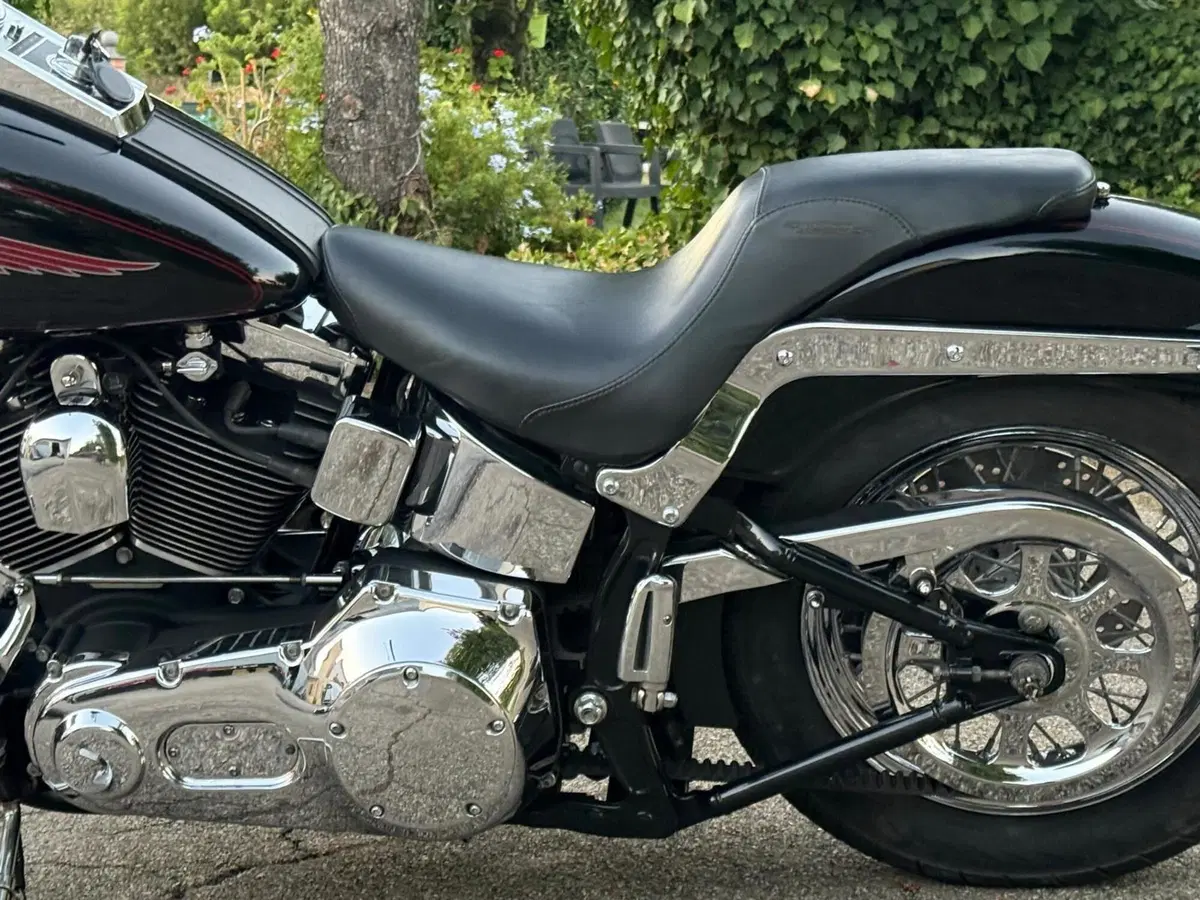 Harley-Davidson 1450 Springer (2002 - 04) - FXSTSI (12)