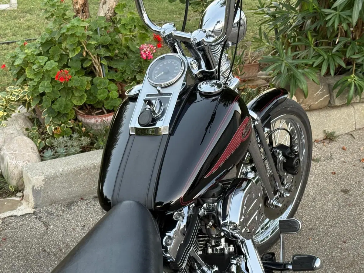 Harley-Davidson 1450 Springer (2002 - 04) - FXSTSI (14)