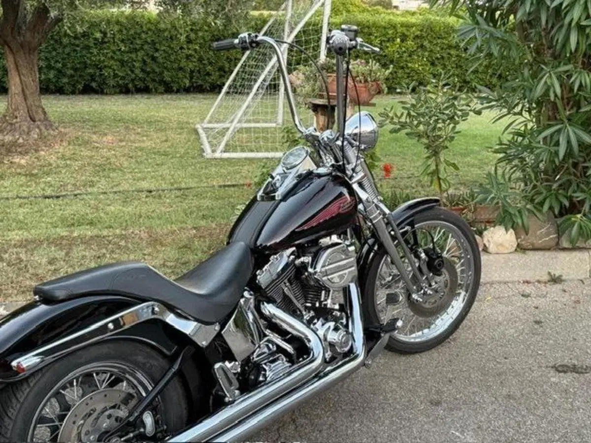 Harley-Davidson 1450 Springer (2002 - 04) - FXSTSI (15)