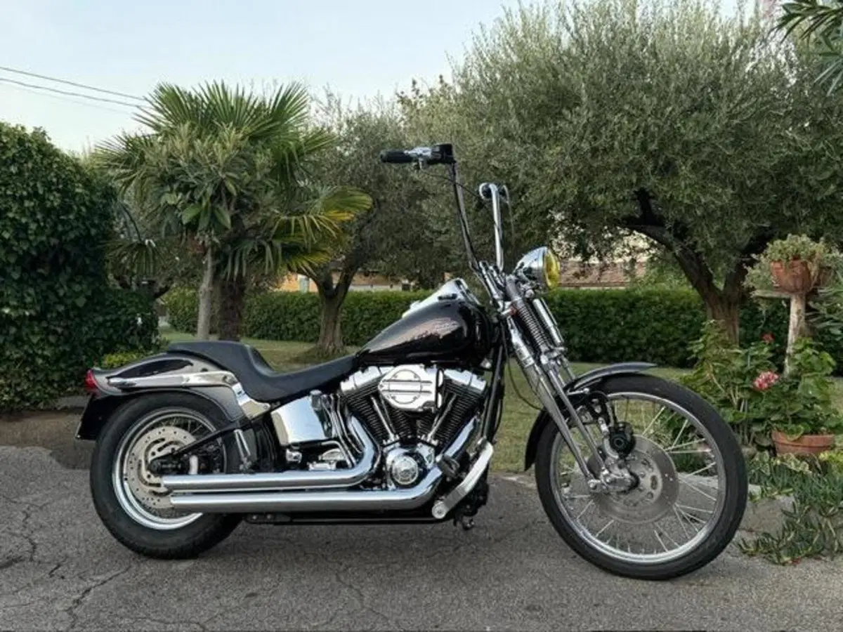 Harley-Davidson 1450 Springer (2002 - 04) - FXSTSI (16)