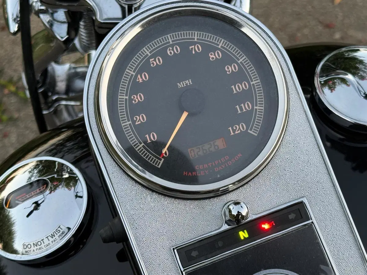 Harley-Davidson 1450 Springer (2002 - 04) - FXSTSI (17)